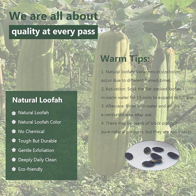Natural Loofah Sponge, Organic Bath Loofah Pack, Lufas Exfoliating Body Scrubber, Loofas Sponges Shower Loofah for Women and Men, Skin SPA Ecotools- 6 Pack