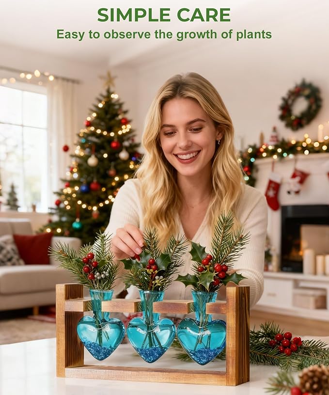 Nacome Plant Terrarium Propagation Stations: Air Planter 3 Bulb Glass Heart Shaped Vase with Wooden Stand for Hydroponics Home Office Decor - Christmas Gifts for Plant Lovers Women Mom Wife