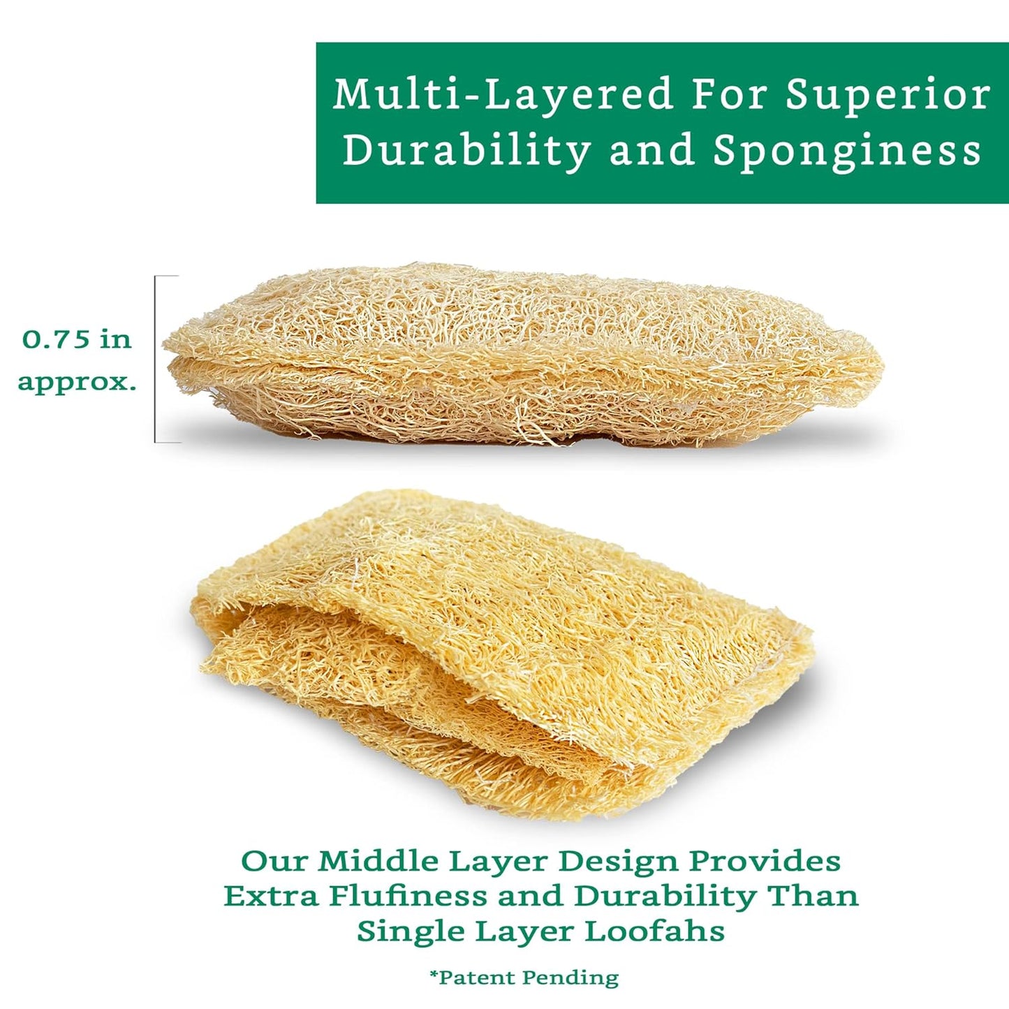 Natural Loofah Kitchen Sponge (3 Pack + 10 Pack Single Layer) - Natural Sponges for Dishes - Eco Friendly and Compostable Sponges - Plant Based Kitchen Dish Biodegradable Sponge