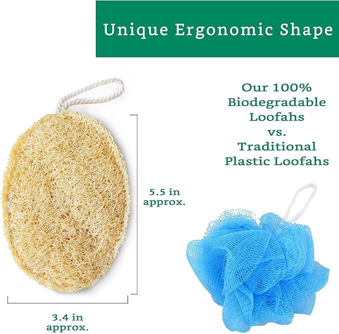 Natural Loofah Exfoliating Sponge (Medium - 4 Pack) - Loofa Exfoliating Body Scrubber - Biodegradable Organic Loofah Sponge - Shower Luffa Sponges - Shower Lufa - Estropajos para el Cuerpo