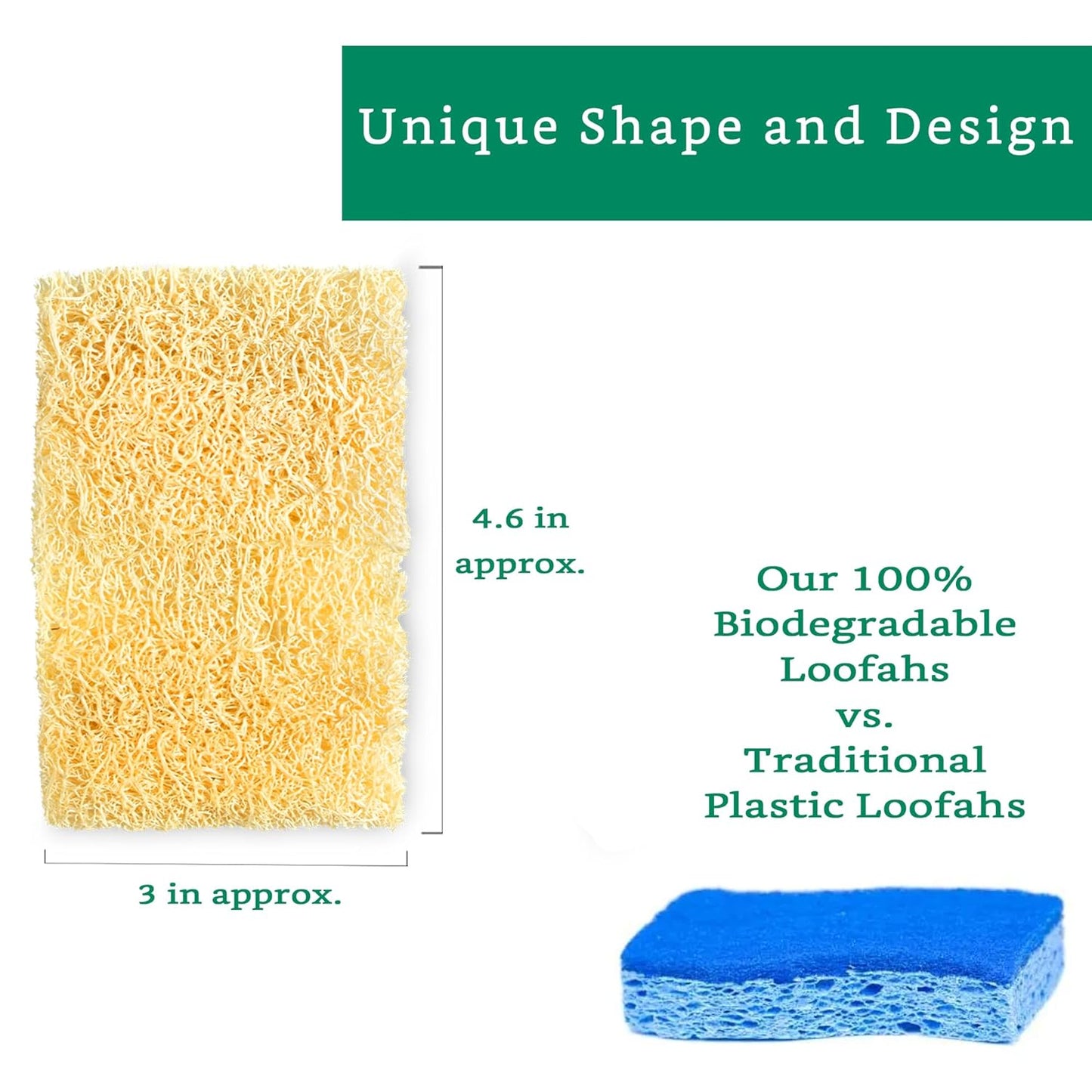 Natural Loofah Kitchen Sponge (3 Pack + 10 Pack Single Layer) - Natural Sponges for Dishes - Eco Friendly and Compostable Sponges - Plant Based Kitchen Dish Biodegradable Sponge