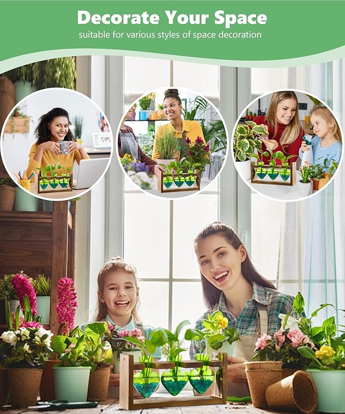 Nacome Plant Terrarium Propagation Stations: Air Planter 3 Bulb Glass Heart Shaped Vase with Wooden Stand for Hydroponics Home Office Decor - Christmas Gifts for Plant Lovers Women Mom Wife(Green)