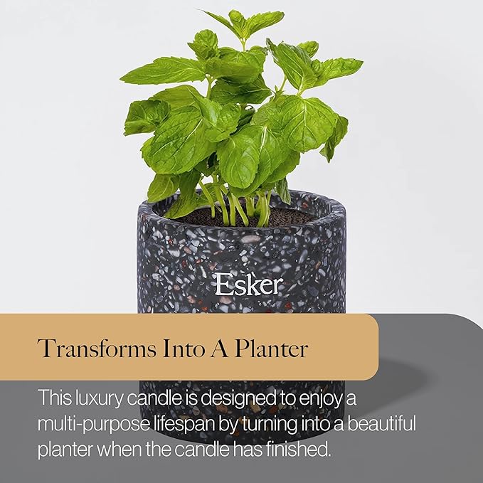 Esker Travertine Plantable Candle – Hand-Poured Soy Wax with Essential Oils, Eco-Friendly Reusable Planter, Includes Wildflower Seed Paper for Sustainable Gifting