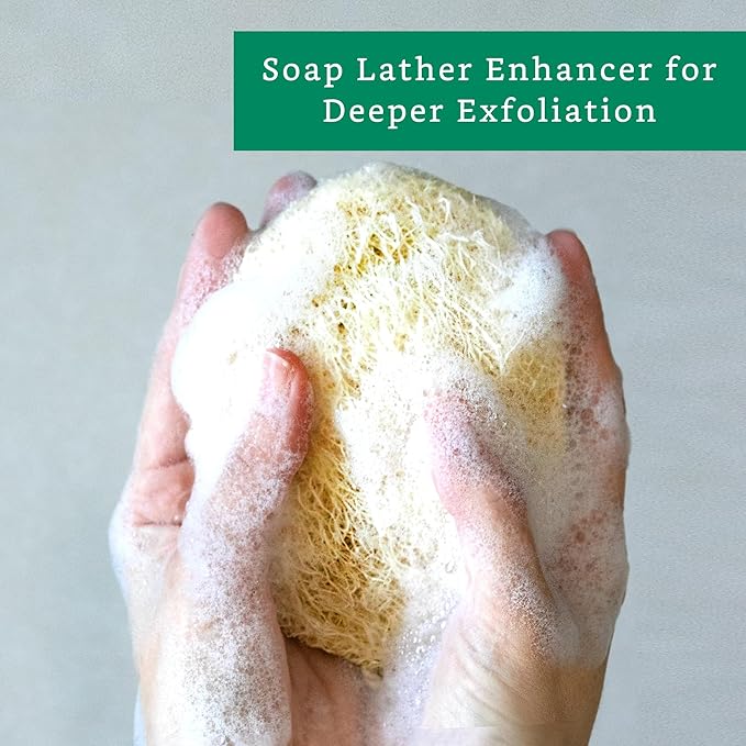 Natural Loofah Exfoliating Sponge (Medium - 4 Pack) - Loofa Exfoliating Body Scrubber - Biodegradable Organic Loofah Sponge - Shower Luffa Sponges - Shower Lufa - Estropajos para el Cuerpo