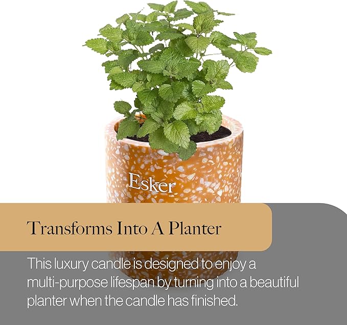 Esker Terracotta Plantable Candle – Hand-Poured Soy Wax with Essential Oils, Eco-Friendly Reusable Planter, Includes Wildflower Seed Paper for Sustainable Gifting