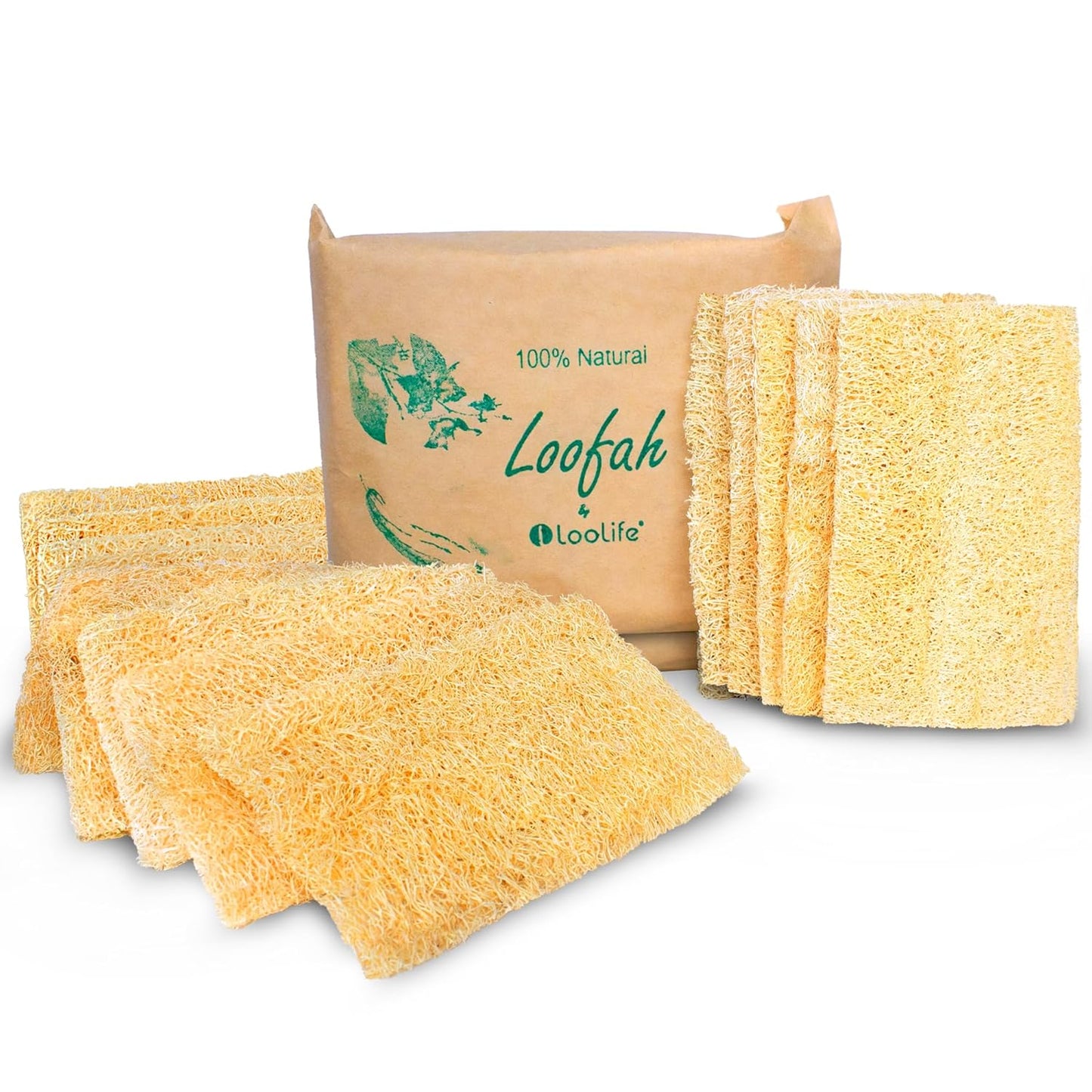 Natural Loofah Kitchen Sponge (3 Pack + 10 Pack Single Layer) - Natural Sponges for Dishes - Eco Friendly and Compostable Sponges - Plant Based Kitchen Dish Biodegradable Sponge