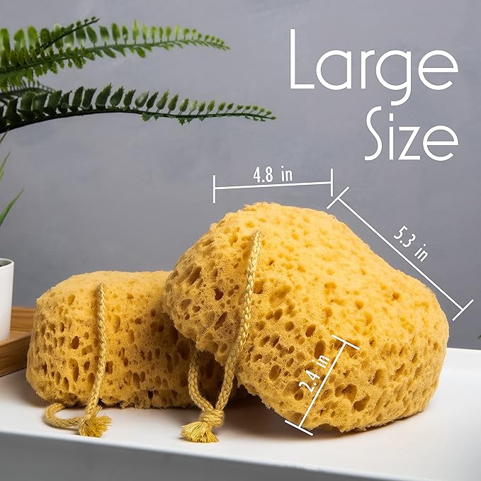 myHomeBody Bath Sponge, Foam Loofah, Body Scrubber for Bathing, Exfoliating Shower Pouf for Shower – Large Size, Lots of Lather, Curvy, 2 Pack