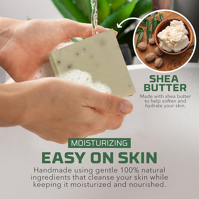 Natural Bar Soap for Women - Vegan Bath Soap Bars Gift Set - Handmade Cold Process Artisan Soap w/Essential Oil, All Moisturizing Wash Soaps, Fragrant Eucalyptus Aloe Scent (4 Pack)