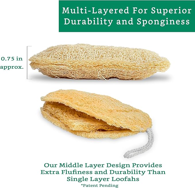 Natural Loofah Exfoliating Sponge (Medium - 4 Pack) - Loofa Exfoliating Body Scrubber - Biodegradable Organic Loofah Sponge - Shower Luffa Sponges - Shower Lufa - Estropajos para el Cuerpo