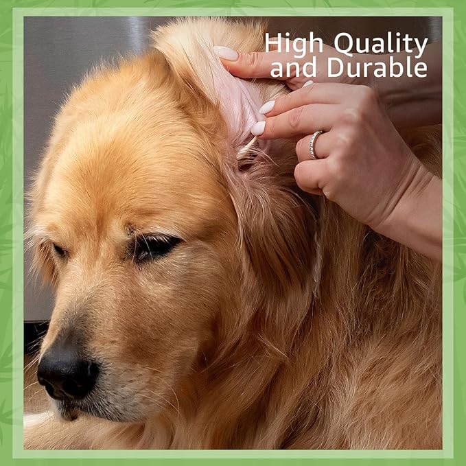 Ibambo 100% Bamboo Ear Swabs Cotton (500-Pack) | Biodegradable Double Tipped Bamboo Ear Cleaner | Eco Friendly Beauty & Personal Care | FSC Certified & Hypoallergenic | Suitable for All Ages & Pets