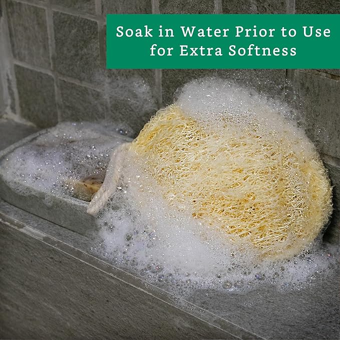 Natural Loofah Exfoliating Sponge (Medium - 4 Pack) - Loofa Exfoliating Body Scrubber - Biodegradable Organic Loofah Sponge - Shower Luffa Sponges - Shower Lufa - Estropajos para el Cuerpo