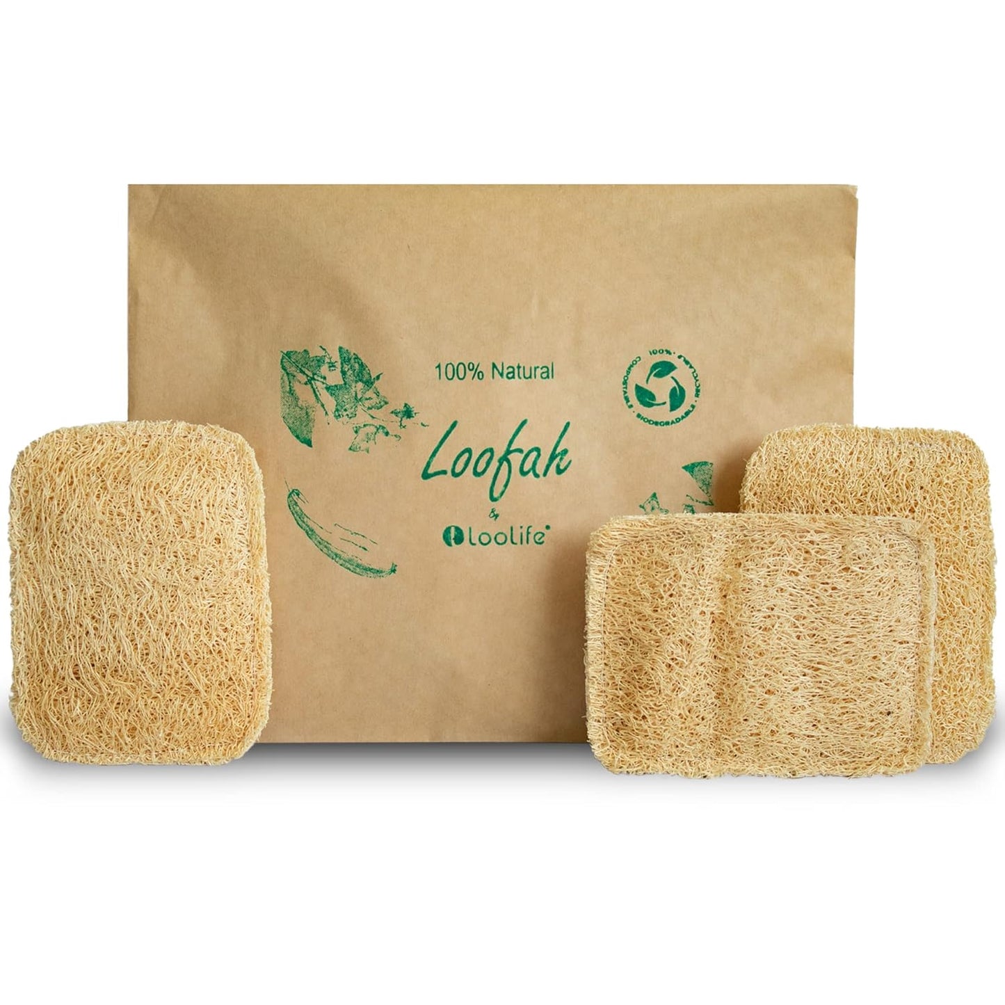 Natural Loofah Kitchen Sponge (3 Pack + 10 Pack Single Layer) - Natural Sponges for Dishes - Eco Friendly and Compostable Sponges - Plant Based Kitchen Dish Biodegradable Sponge
