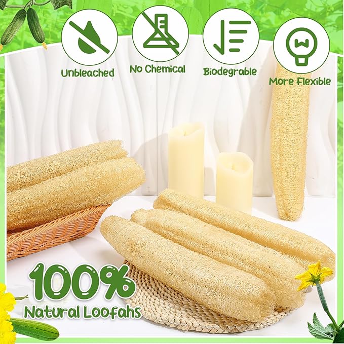 6 Pack Natural Loofah Sponge 15.7 Inch for Kitchen Bath & Body Scrub Organic Exfoliating Sponge for Dishes Skin Men Women