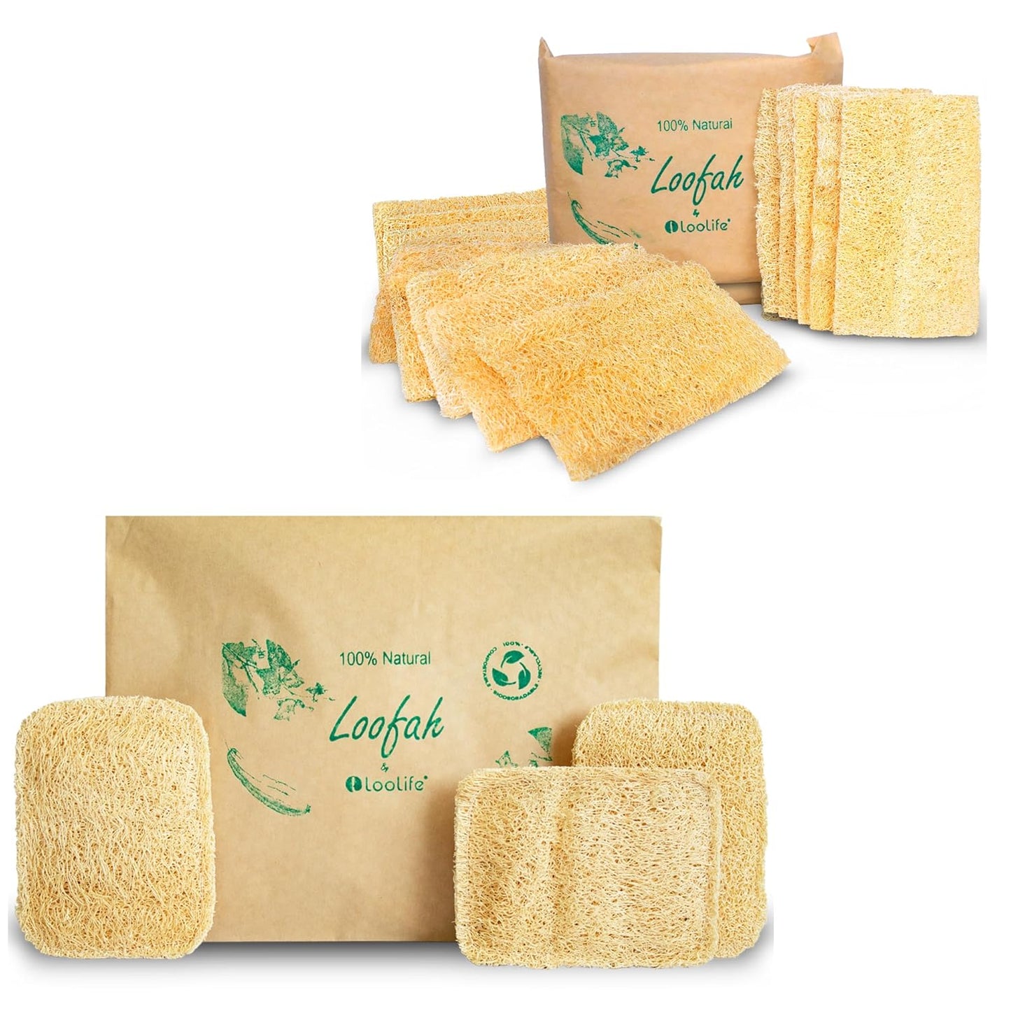 Natural Loofah Kitchen Sponge (3 Pack + 10 Pack Single Layer) - Natural Sponges for Dishes - Eco Friendly and Compostable Sponges - Plant Based Kitchen Dish Biodegradable Sponge