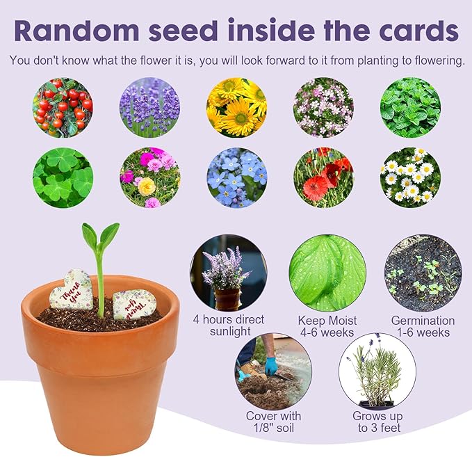 nulala 20Pack 'Thank you' Greeting Cards,Plantable Seed Paper Cards Embedded with Wildflower, Eco-Friendly Card for Gift Wrapping, Mother's Day, Thanksgiving,Graduation Gifts