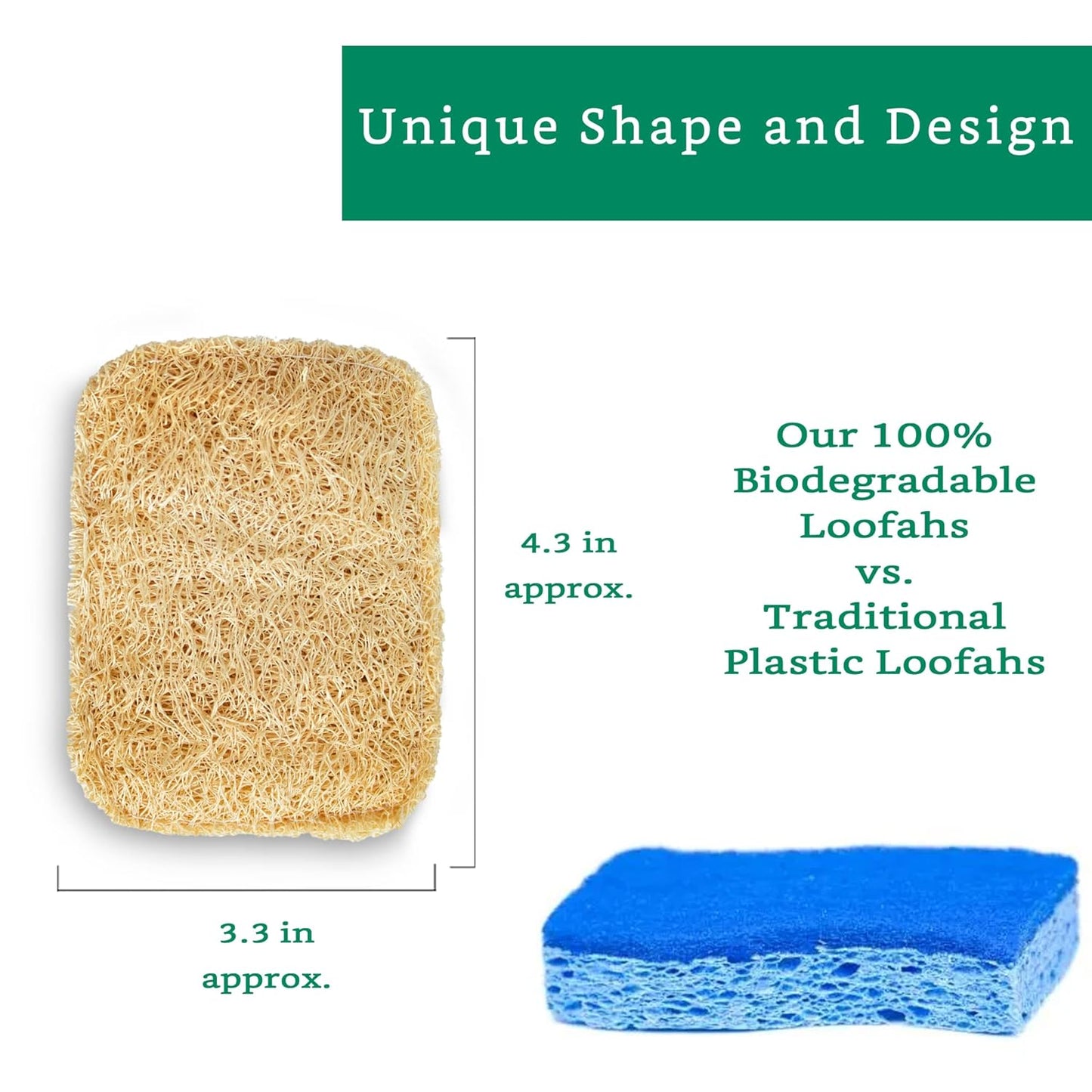 Natural Loofah Kitchen Sponge (3 Pack + 10 Pack Single Layer) - Natural Sponges for Dishes - Eco Friendly and Compostable Sponges - Plant Based Kitchen Dish Biodegradable Sponge