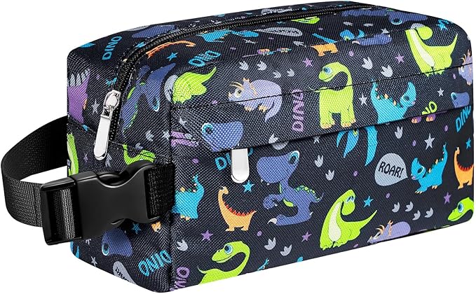 Small Insulated Snack Bag Lunch Box,Collapsible Reusable Small Lunch Bag with Snap Buckle Handle for Beach Travel Picnic,Purple Dinosaur 5-Can(3L)