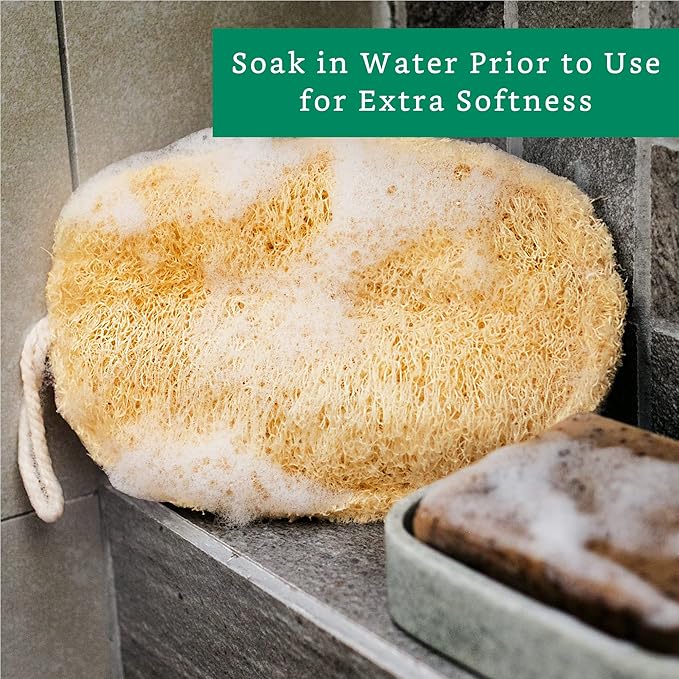 Natural Loofah Exfoliating Sponge (4 Pack) - Organic Body Scrubber - Biodegradable Shower Luffa