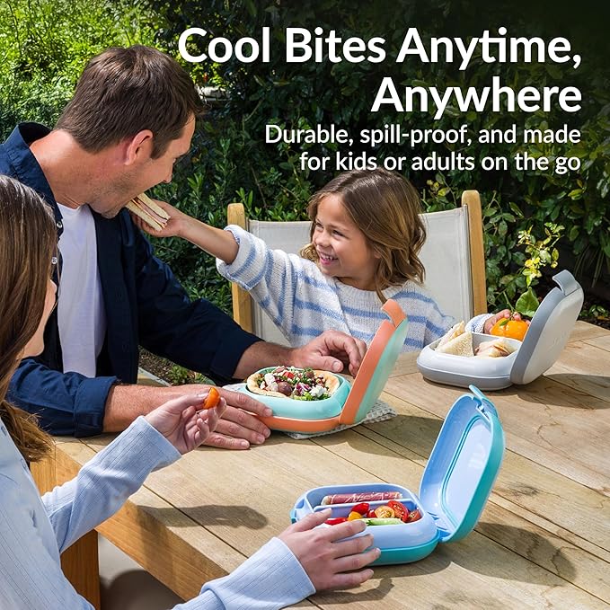 Bentgo Chill Mini Leak-Proof Lunch Box – Built-In Ice Pack Keeps Food Cold, 2.7-Cup Capacity for Snacks or a Sandwich, 3 or 4 Compartments, PFAS & BPA-Free, Ideal for Adults & Kids 3+ (Crisp Grays)
