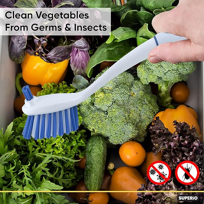 Superio Fruit and Vegetable Scrub Brush with Long Handle - Dish Cleaning Brush, Double Sided Scrubber, Non Scratch Kitchen Scrub Brush for Fruits/Potatoes/Veggies, Sinks, Bath (2, Blue)