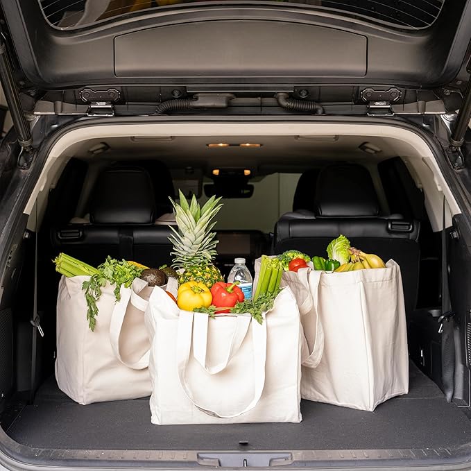 Reusable Canvas Grocery Shopping Bags - 3 Pack, Extra Large Cloth Grocery Bags with Handles and Real Pockets - Heavy Duty, Washable and Foldable Shopping Bags with Short and Long Handles (3 Bags)
