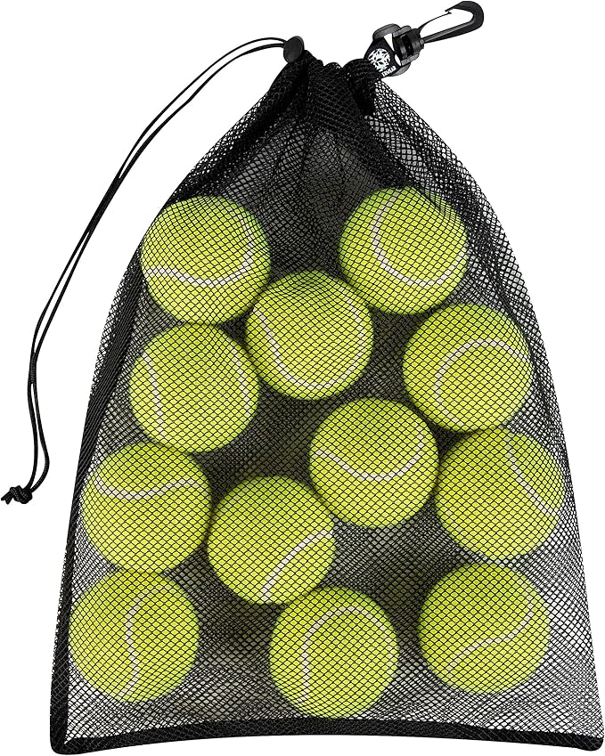 PALTERWEAR Mesh Drawstring Bag With Clip and Toggle Closure - For Water Sports, Hiking, Clamming - Multi-Use Set of 4 (Black, 10 x 15 inch)